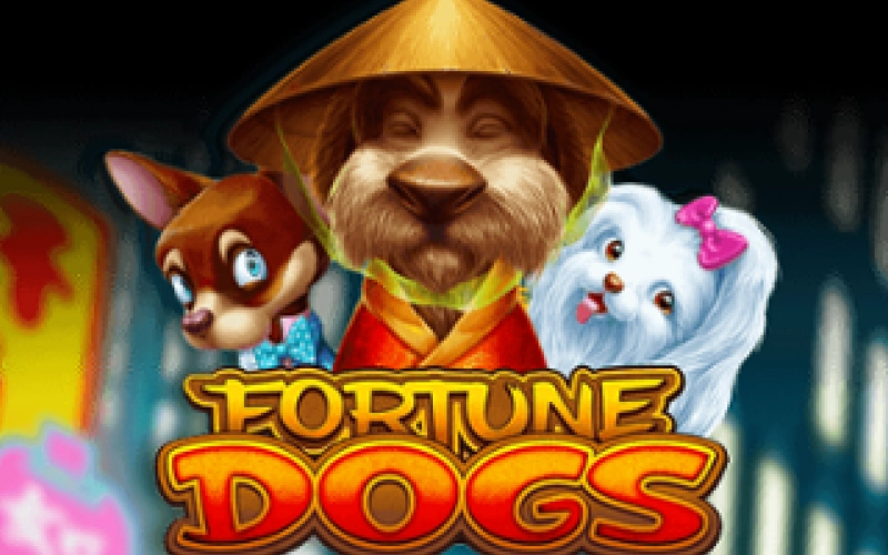 No pierdas la oportunidad de ganar dinero en el juego Fortune Dogs en 1win.